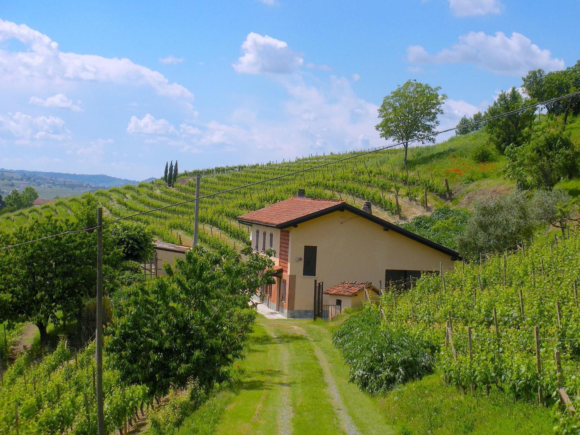 Cascina Tra I Vigneti A Nizza Monferrato Villa Exterior foto