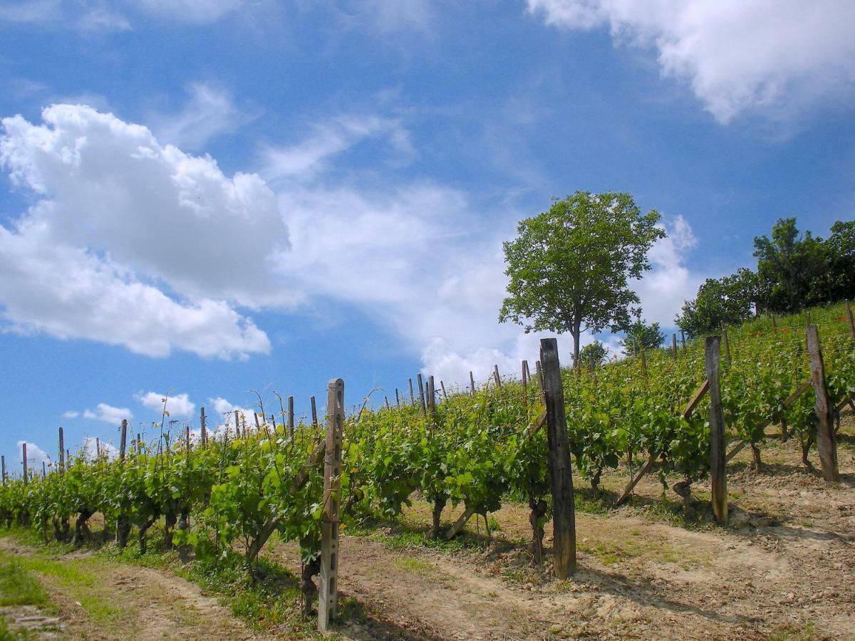 Cascina Tra I Vigneti A Nizza Monferrato Villa Exterior foto