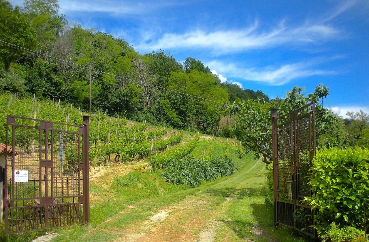 Cascina Tra I Vigneti A Nizza Monferrato Villa Exterior foto