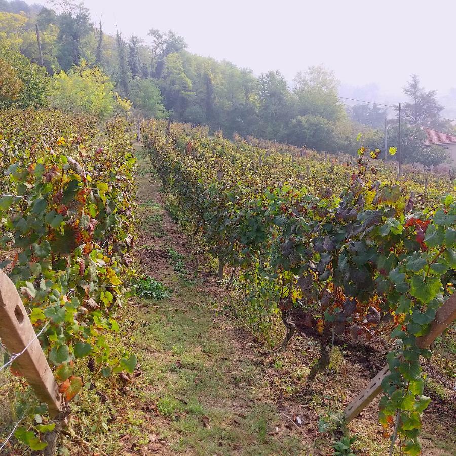 Cascina Tra I Vigneti A Nizza Monferrato Villa Exterior foto